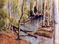radnor_lake
