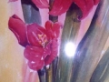 red_amaryllis