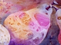textured_pears